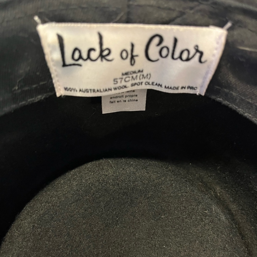 Lack Of Color Hat - image 4